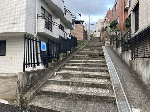 Kanon Shibuya's Tail Route 5